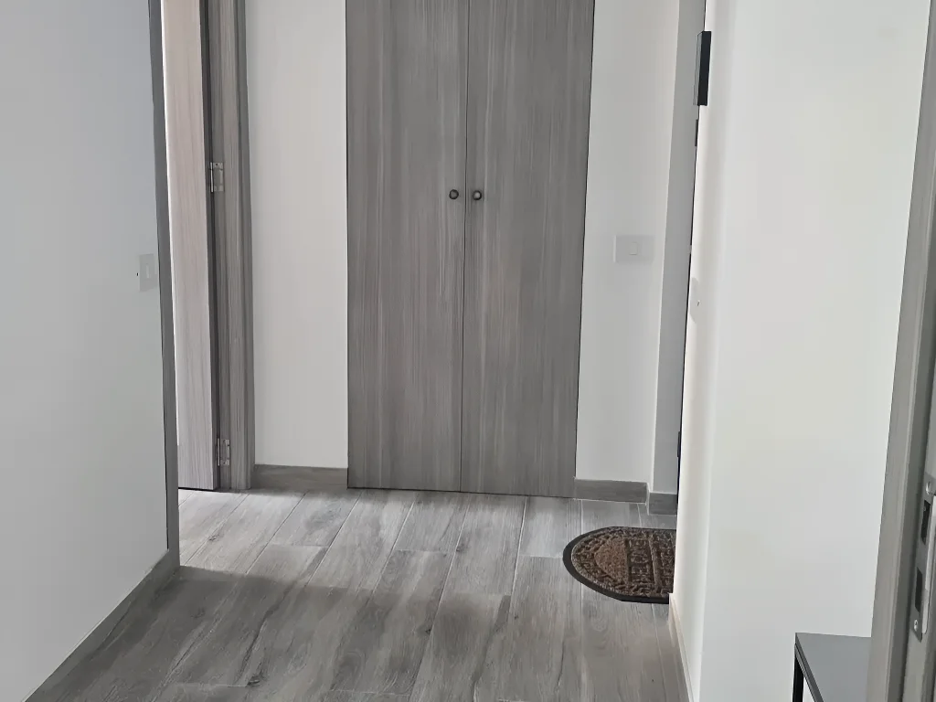hol mobilat apartament vanzare cumparare Sector 3, București
